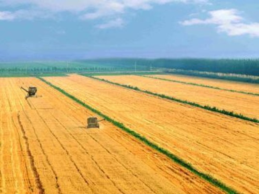 国有土地能做什么生意赚钱 国有土地可以做什么