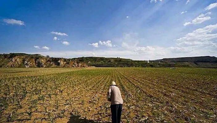 国有土地能做什么生意赚钱 国有土地可以做什么