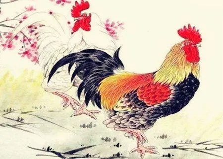 属鸡女生做什么生意好赚钱 属鸡女做什么工作最有利 属鸡女生做什么生意好赚钱 属鸡女做什么工作最有利