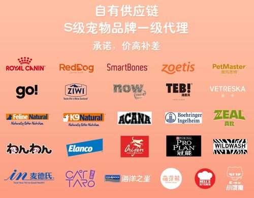 小不可加盟费是多少（小不可加盟费用详解）