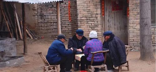 回族农村做什么赚钱的工作 回族人干活咋样