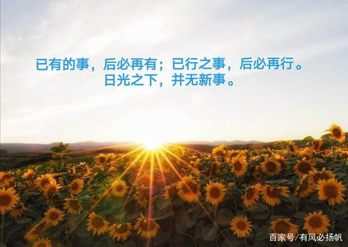 在太阳下做什么赚钱最快 在太阳底下干活要注意什么 在太阳下做什么赚钱最快 在太阳底下干活要注意什么
