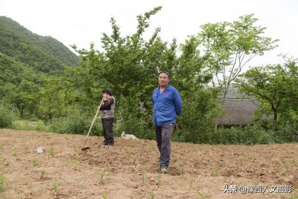 小伙上山创业做什么好赚钱 山上做什么项目赚钱