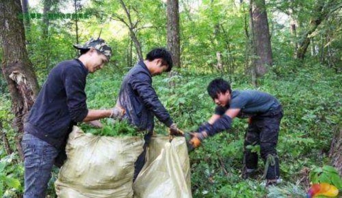 小伙上山创业做什么好赚钱 山上做什么项目赚钱