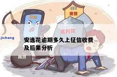 安逸花找人套出来上征信吗（安逸花使用指南）