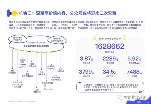 沙滩项目加盟及运营指南