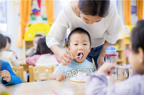 加盟幼儿园有哪些项目名称（幼儿园加盟项目介绍）