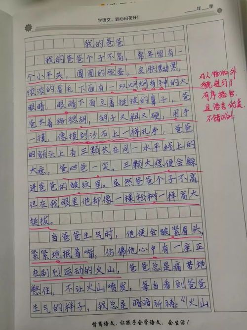 除了写作文还能做什么赚钱 除了作文纸条还有什么比较好的写作文软件