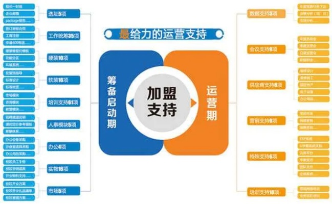 线上加盟项目怎么运作（线上加盟项目的运作模式）