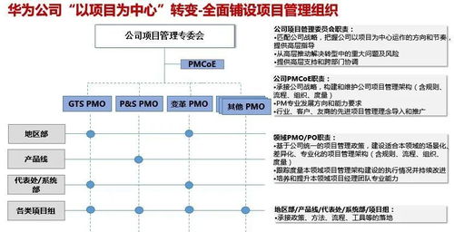 线上加盟项目怎么运作（线上加盟项目的运作模式）