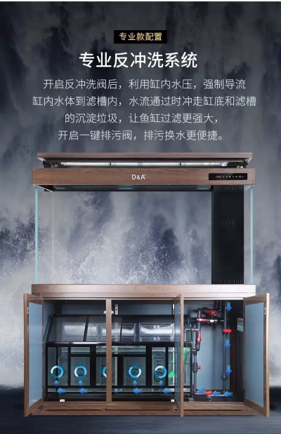 德克鱼缸加盟指南（德克鱼缸加盟流程详解）