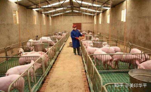 做什么养殖比较稳定赚钱呢 搞什么养殖好呢