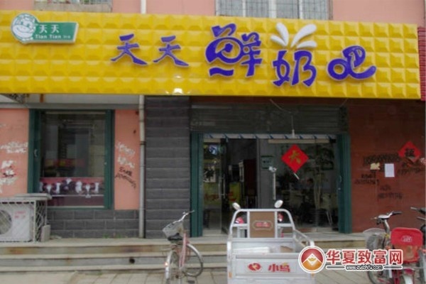 天天喝鲜奶怎么加盟（天天喝鲜奶加盟费及流程）