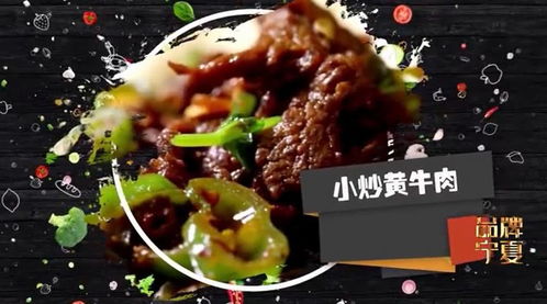 泾源黄牛肉怎么加盟（创业者必读泾源黄牛肉加盟详解）