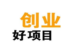 发财加盟项目（投资加盟哪个项目赚钱）