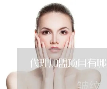 个人代理加盟项目名称 个人代理加盟项目名称大全