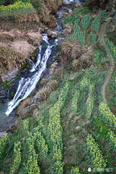 农村大山沟做什么最赚钱 山沟里的村子叫什么
