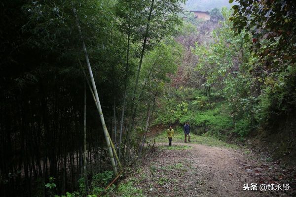 农村大山沟做什么最赚钱 山沟里的村子叫什么