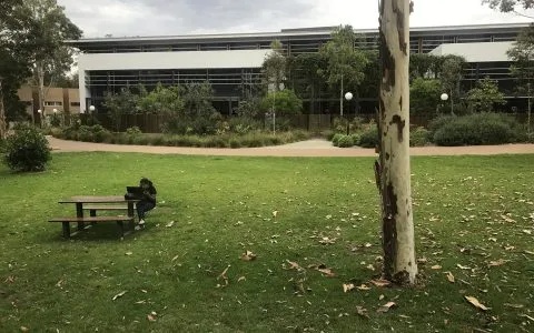 库克大学就业怎么样 库克大学中国总校区