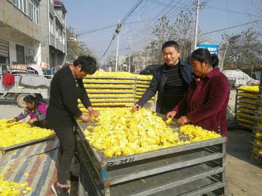 年前在老家乡镇做什么赚钱