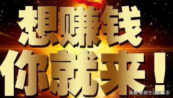 可做什么小生意好赚钱