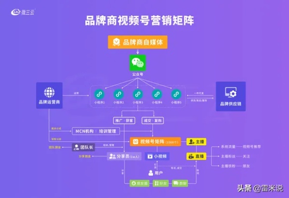 视频号的财富之路，探寻最赚钱的品类