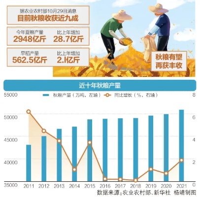 秋收获利，探索秋季时节的高盈利商机