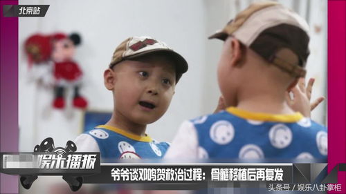 假期成为赚钱博主，多元领域拓展与盈利策略实战指南