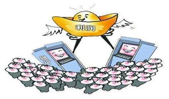 买基金周日如何快速赚钱，策略与技巧探讨