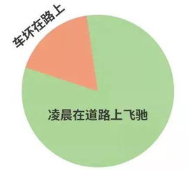 收高粱致富之路，多元化利用与创新赚钱模式