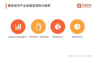 银发经济下的商机挖掘，如何快速赚钱的策略与启示