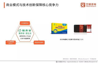 银发经济下的商机挖掘，如何快速赚钱的策略与启示