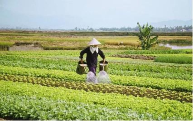 农民好做什么生意赚钱快，多元农业经营与乡村经济新机遇
