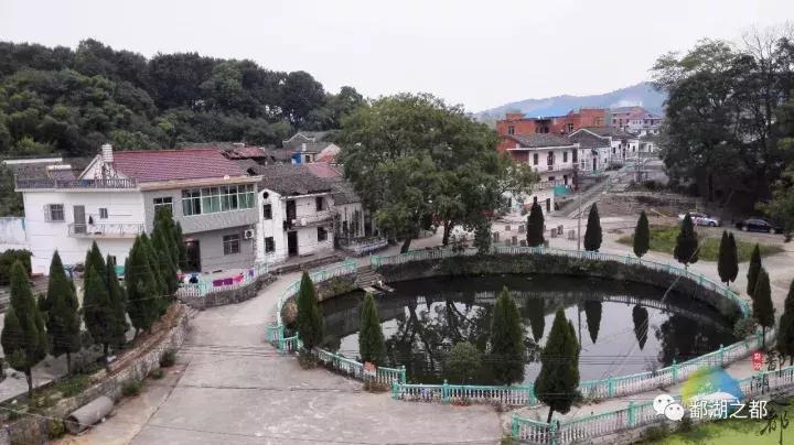 “中午十二点的商业商机，发现那些能快速盈利的生意经”