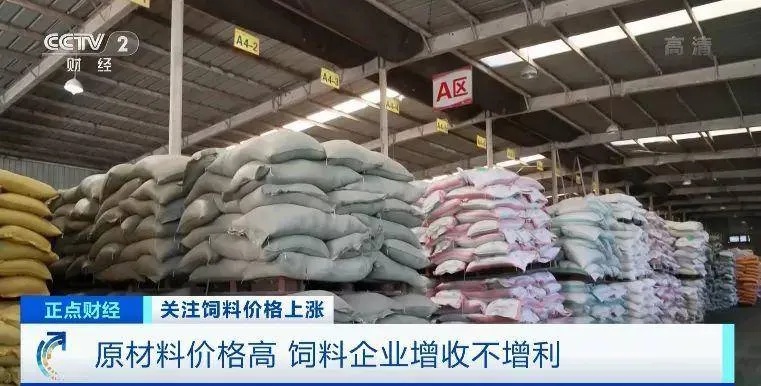 饲料经销商如何把握商机实现盈利增长