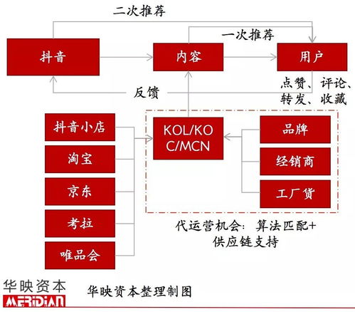 做直播赚大钱！寻找最合适的领域是成功关键——创优质内容的电商和内容导向型直播的魅力何在
