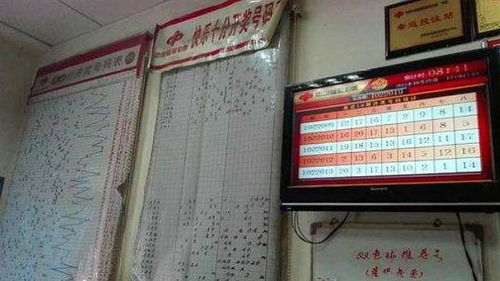 彩票站的经营之道，创新与有效活动赚钱秘籍