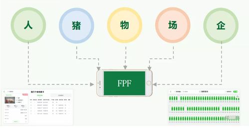 药店营销活动的创新策略，实现快速且高效的收益增长