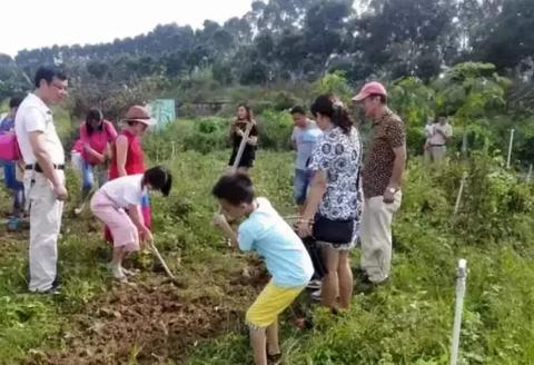 围绕租赁住房拓展盈利策略的探索与分享，多维度分析与实例研究