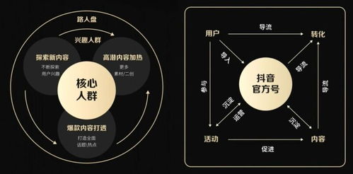 女性如何以高效的方式利用抖音赚取收益的策略解析