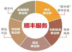 东莞顺丰的盈利蓝海，多元化战略与创新驱动的生意新模式