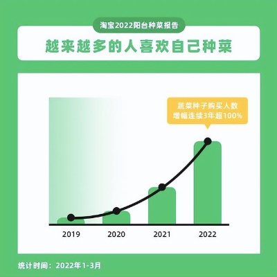 隔离期间在家探索创收之路，多元方式与策略