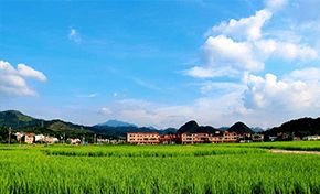 四亩地如何创造财富，多元化经营与创新的赚钱之路