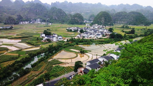 四亩地如何创造财富，多元化经营与创新的赚钱之路