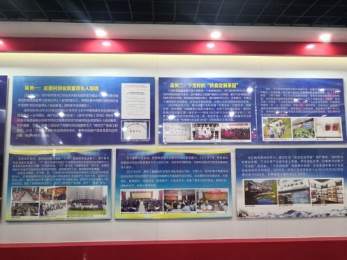 万州农村创业致富之路，探索赚钱新机遇
