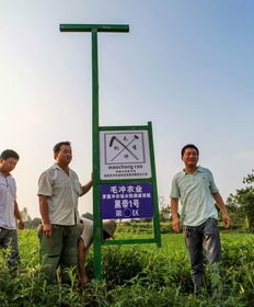 万州农村创业致富之路，探索赚钱新机遇