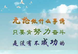 正能量驱动下的职业选择与财富创造之路