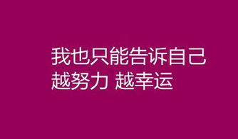 正能量驱动下的职业选择与财富创造之路