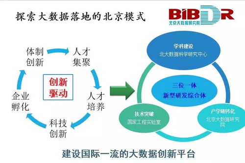 瘦人也能赚钱的多元职业路径探索
