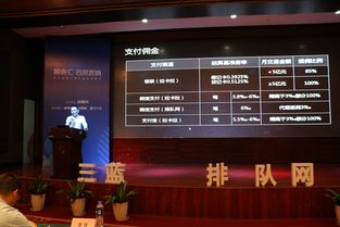 蔡文直播，探索高效盈利之路